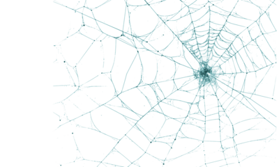 Intricate teal spider web with a clear central cluster detail