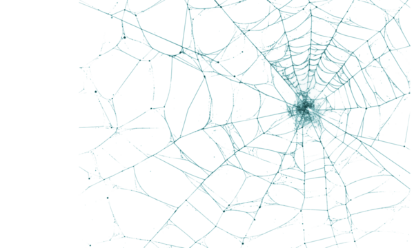 Intricate teal spider web with a clear central cluster detail