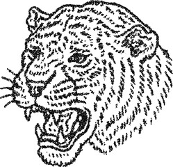 Roaring tiger head in a grainy stipple illustration style. Vector of a powerful and aggressive big cat, ideal for wildlife, nature, and strength-related designs