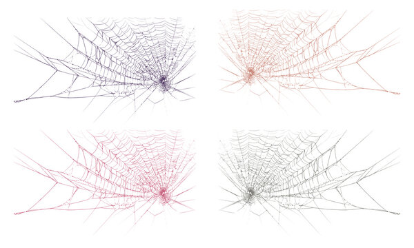 Intricate spiderweb collection with vibrant gradient patterns