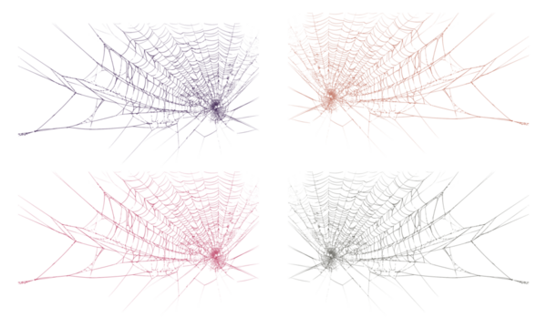 Intricate spiderweb collection with vibrant gradient patterns