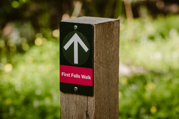 A dark green signpost with arrow of the First Falls Walk outdoor at daytime during spring in Morialta Conservation Park with blurry background near Adelaide in Australia.