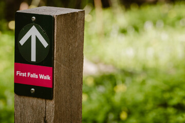 A dark green signpost with arrow of the First Falls Walk outdoor at daytime during spring in Morialta Conservation Park with blurry background near Adelaide in Australia with copy space.