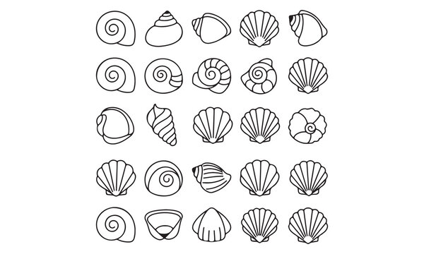 Seashell Vector Illustration Set | Black and White Shell, Starfish, and Clam Icons