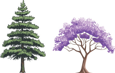 Coniferous pine tree and blooming jacaranda side by side, nature contrast, evergreen foliage, purple blossoms, landscape diversity, botanical beauty, seasonal bloom, tree comparison, floral harmony