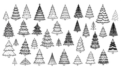 Hand Drawn Christmas Tree Illustrations.
