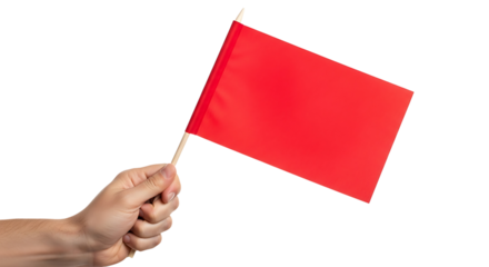 Hand holding a small red flag