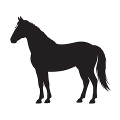 Fototapeta premium Silhouette of a horse isolated on white background, showcasing its muscular build and flowing mane in a simple yet elegant design
