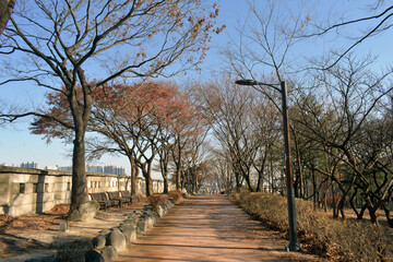 empty path in the park, winter