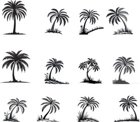 Set of Tropical Palm Tree Silhouettes Collection Vector Icons