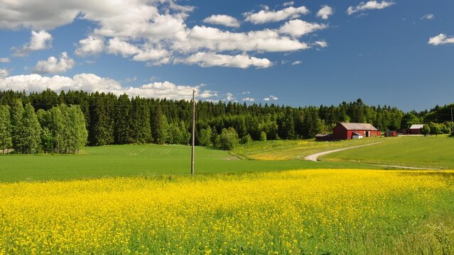Dalsland-72
