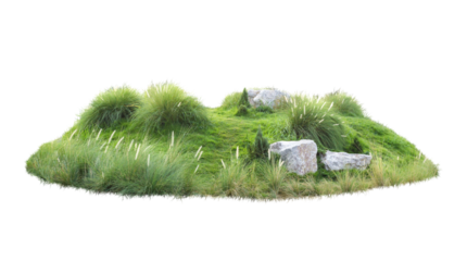 Green bush isolated on white background. Large trees database Botanical garden organization elements of Asian nature in Thailand, tropical trees isolated used for design, advertising and architecture.