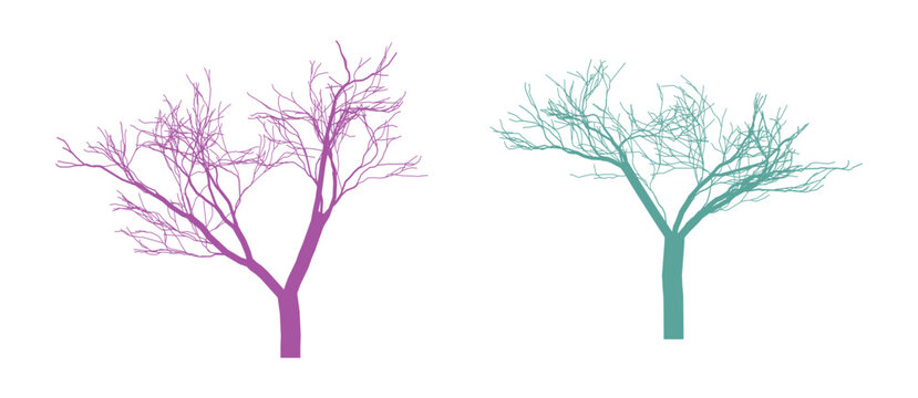 Two stylized trees in purple and teal on white background creating an abstract design