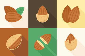 Collection of almond nuts and shells on brown and cream background