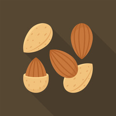 Multiple Almond Nuts and Shells Flat Vector Illustration