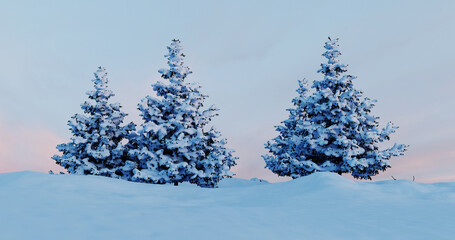 Winter Snow Trees Evening Landscape Frozen View