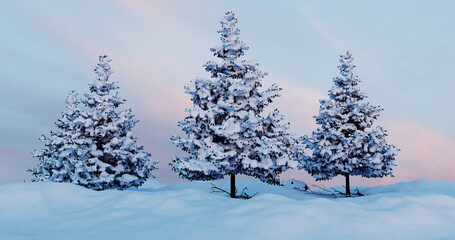 Snow Covered Trees Winter Sunset Landscape Scene