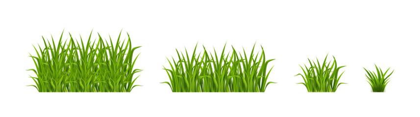 Green grass set, flat vector illustration of nature elements