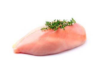 Raw chicken meat