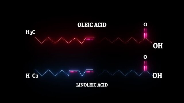 neon Oleic Acid and Linoleic Acid Chemical Structures on black Background.