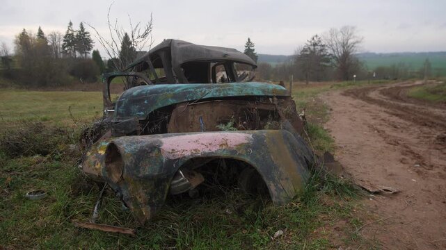 moss-covered car rear beside dirt road restoration enthusiast perspective highlights corroded bumper, missing
