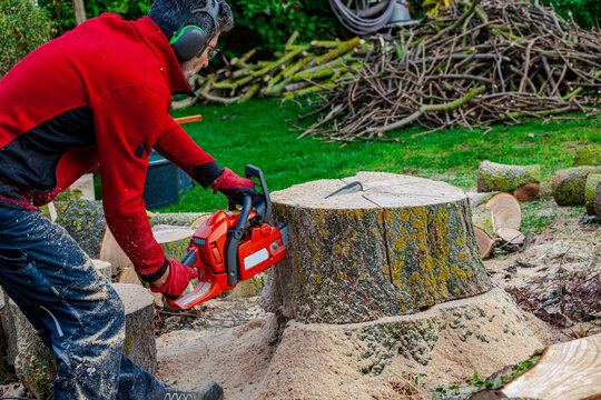 Man using chainsaw to cut a tree log in a private garden
