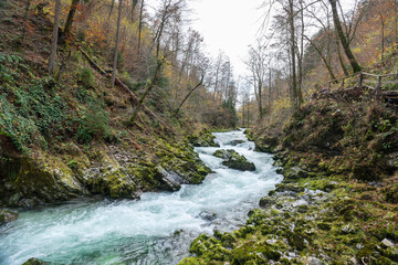 The Radovna River creative  impressive landscapes of Vintgar gorge in Triglav National Park in Slovenia.