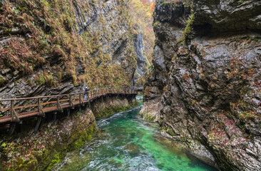 The Radovna River creative  impressive landscapes of Vintgar gorge in Triglav National Park in Slovenia.