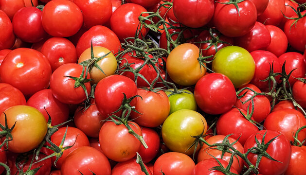 fresh red green orange tomatoes texture colorful abstract healthy vegetable background