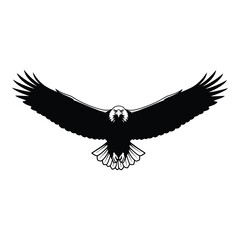 Fototapeta premium Majestic eagle soaring with powerful wings spread wide, embodying freedom and strength, perfect for bold branding and inspiring themes.
