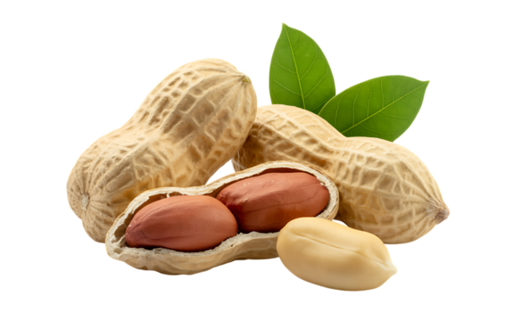 A cluster of raw peanuts with green leaves and one open pod revealing the nuts against a dark background