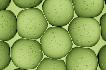 Olive-toned organic surface embedded with trapped air bubbles, crafted for eco-product marketing, natural wellness design, and textured macro backdrops