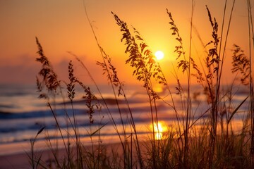 Fototapeta premium Dreamy Sunset Over Amelia Island Florida Beach with Silhouetted Grass and Vibrant Orange Sky