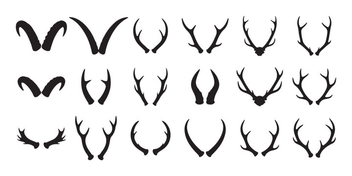 Collection of stylized animal antlers and horns silhouettes Vector, illustration