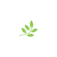 green leaf logo vector
