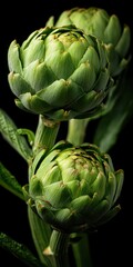 Obraz premium Fresh Organic Baby Artichokes: Nutrient-Rich Green Delights for Healthy Cooking and Eating