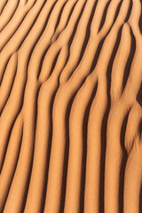 Desert sand patterns forming natural ripples in oman
