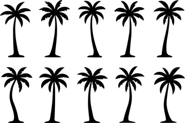 Collection of diverse silhouette palm trees with varying heights and trunk shapes against a white background
