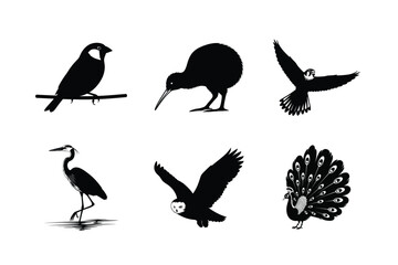 Fototapeta premium Six black bird silhouettes featuring various species like a sparrow, kiwi, falcon, heron, owl, and peacock