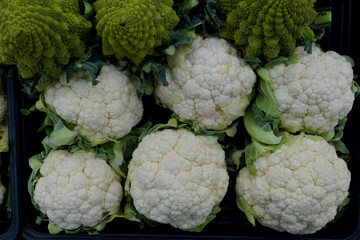 cauliflower on a green background
