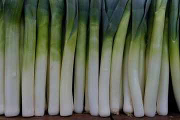 fresh green onions