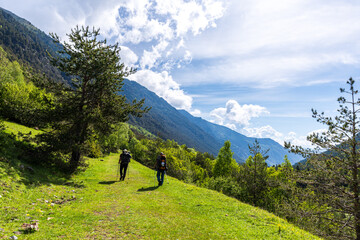 Two hikers trek through sunlit forest trail with mountain views, surrounded by vibrant greenery and...