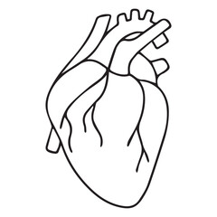 Human Heart Medical Vector Collection