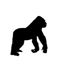 black silhouette of a bear