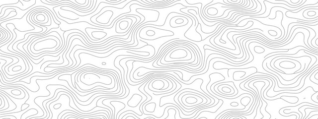 Abstract white and gray background with topographic contour lines.