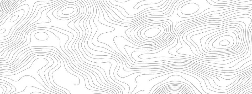 Topographic Lines A Detailed Abstract Landscape 2.