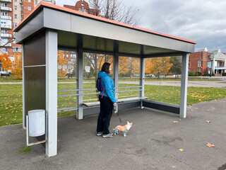 Woman standing at a modern bus stop with a small dog on a leash, surrounded by autumn foliage and urban architecture, showcasing daily life and companionship