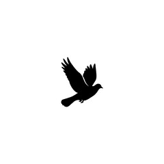 Flying Pigeon Delivering Love Letter to Girl  Romantic Vector Silhouette Illustration  কবুতর 