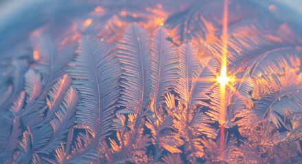 Abstract patterns of frost on glass with a sunrise glow in winter