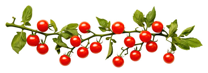 Naklejka premium PNG Cherry tomato frame border plant fruit leaf.